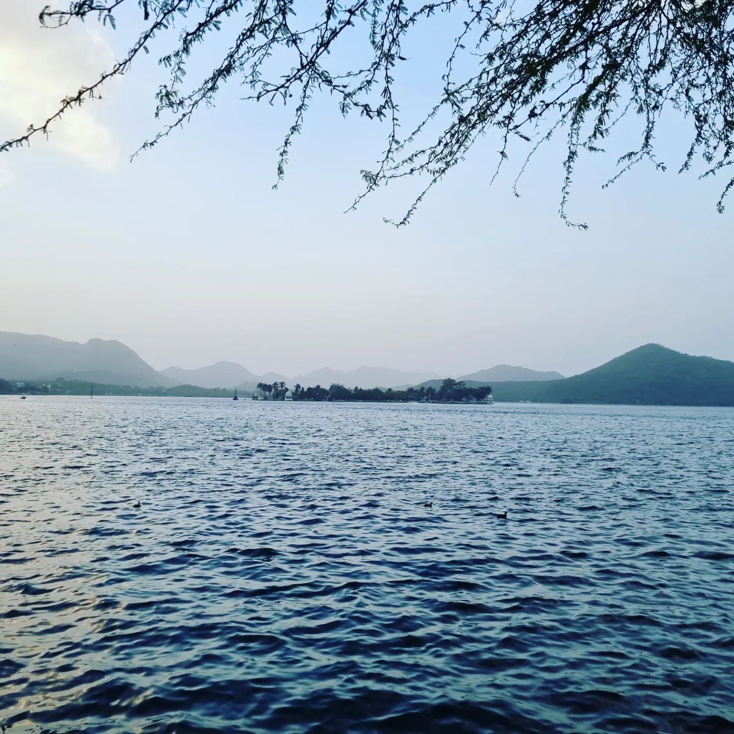 Udaipur travel - Fateh Sagar Lake
