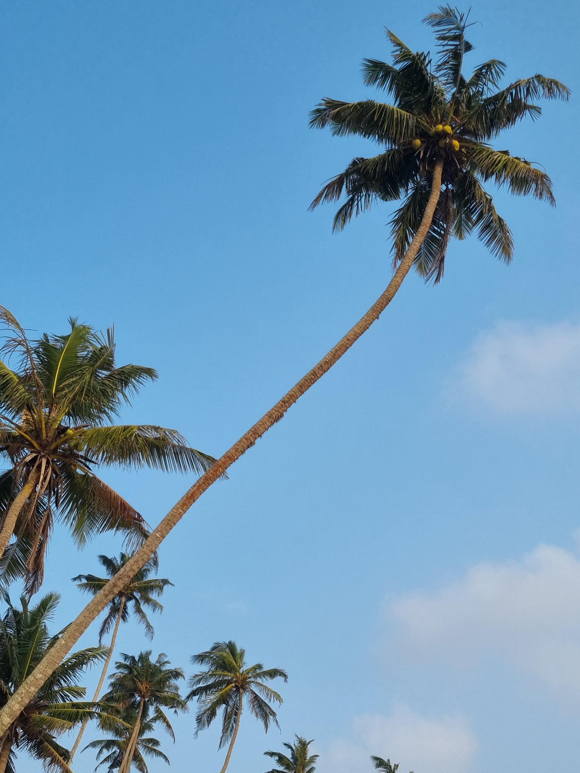 Spending a day in Unawatuna